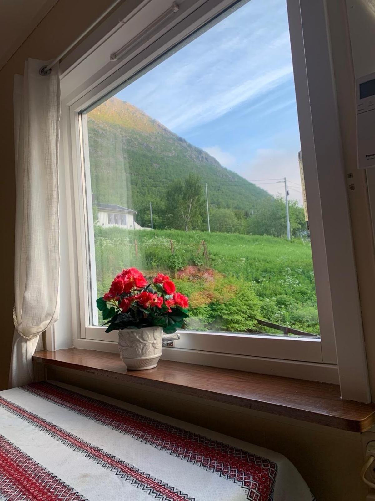 House Apartman Gryllefjord Kültér fotó