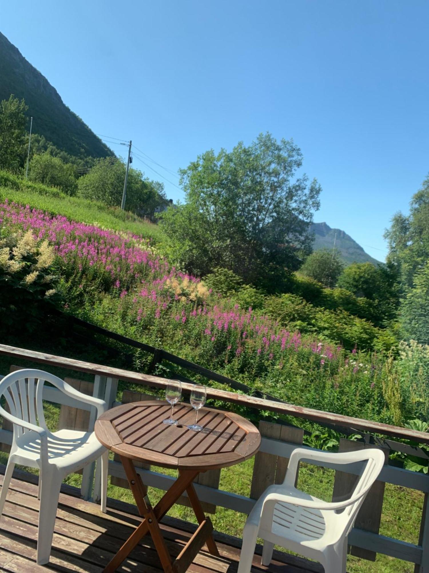 House Apartman Gryllefjord Kültér fotó